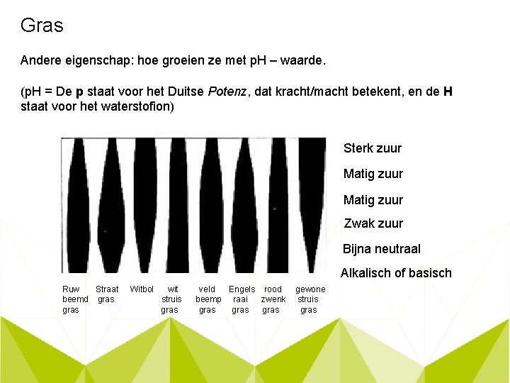 Gras Andere eigenschap: hoe groeien ze met p. H – waarde. (p. H =