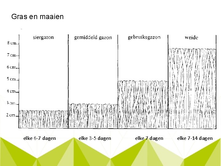 Gras en maaien elke 6 -7 dagen elke 3 -5 dagen elke 7 -14