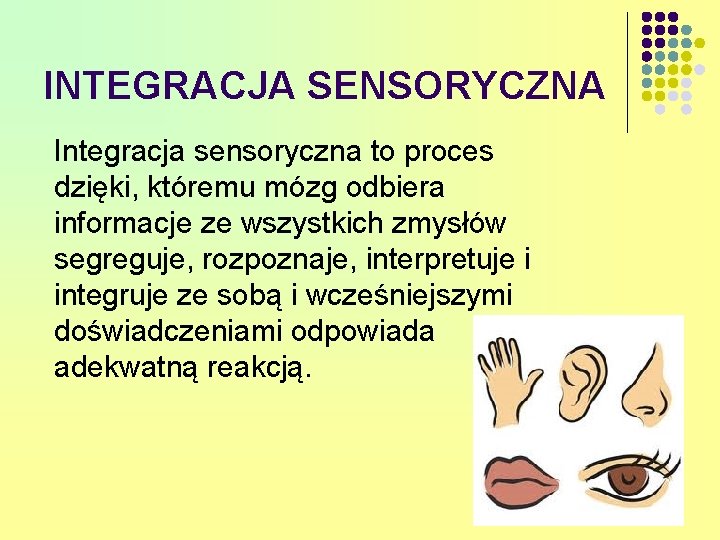 INTEGRACJA SENSORYCZNA Integracja sensoryczna to proces dzięki, któremu mózg odbiera informacje ze wszystkich zmysłów