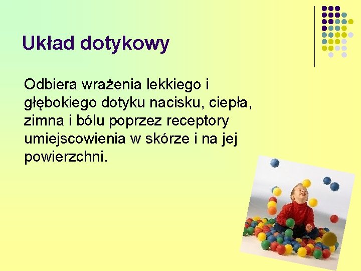 Układ dotykowy Odbiera wrażenia lekkiego i głębokiego dotyku nacisku, ciepła, zimna i bólu poprzez