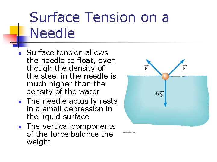 Surface Tension on a Needle n n n Surface tension allows the needle to