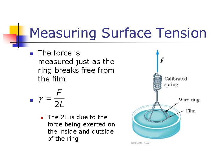 Measuring Surface Tension n The force is measured just as the ring breaks free