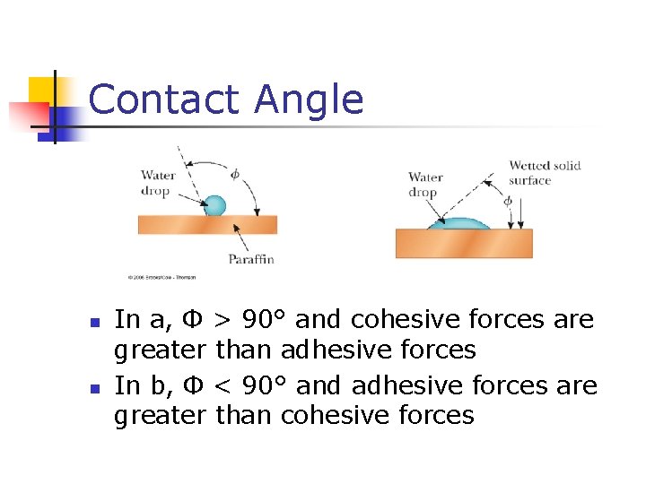 Contact Angle n n In a, Φ > 90° and cohesive forces are greater