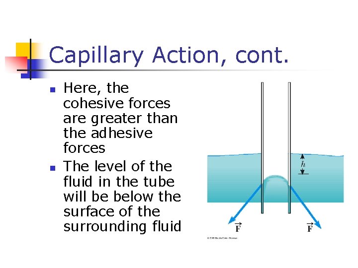 Capillary Action, cont. n n Here, the cohesive forces are greater than the adhesive