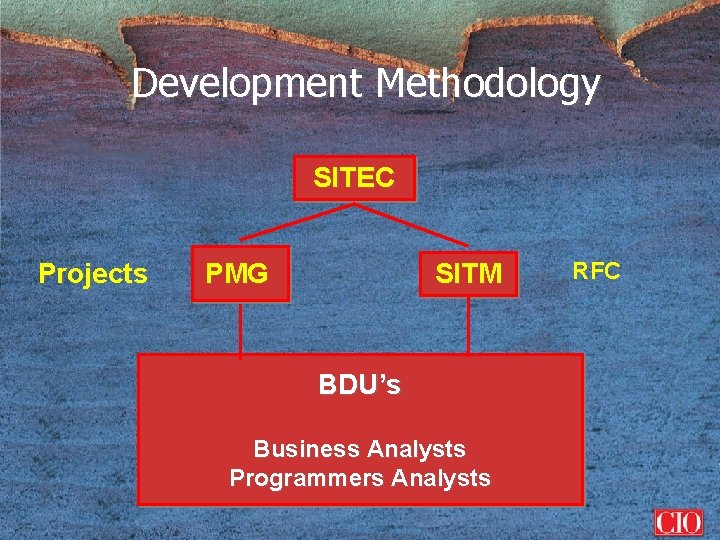 Development Methodology SITEC Projects PMG SITM BDU’s Business Analysts Programmers Analysts RFC 