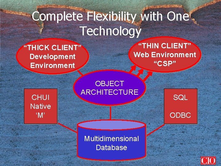 Complete Flexibility with One Technology “THICK CLIENT” Development Environment CHUI Native ‘M’ “THIN CLIENT”