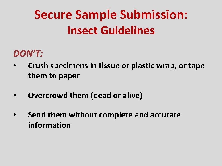 Secure Sample Submission: Insect Guidelines DON’T: • Crush specimens in tissue or plastic wrap,
