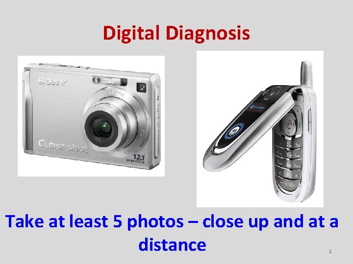 Digital Diagnosis Take at least 5 photos – close up and at a distance