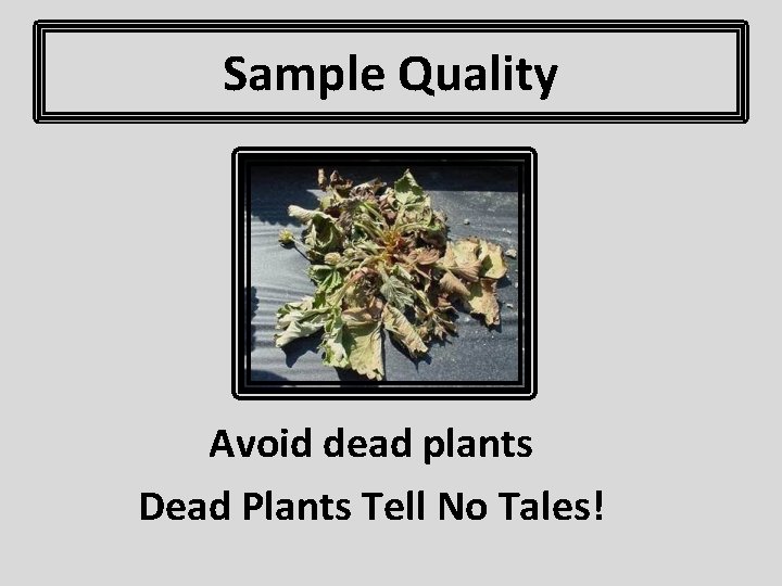 Sample Quality Avoid dead plants Dead Plants Tell No Tales! 