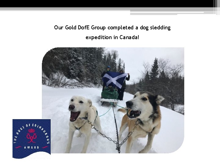 Our Gold Dof. E Group completed a dog sledding expedition in Canada! 