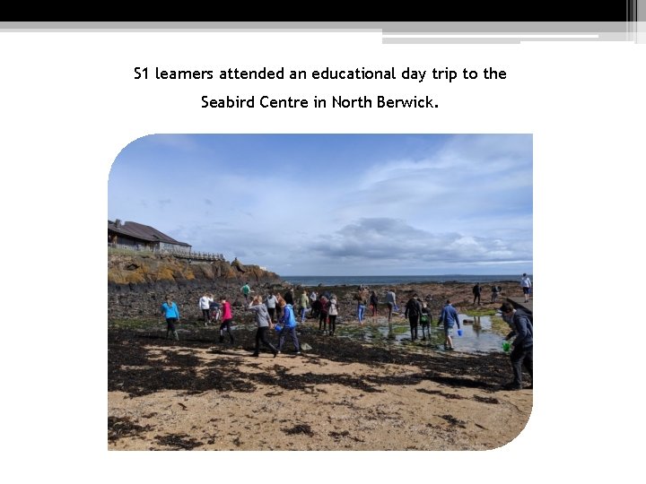 S 1 learners attended an educational day trip to the Seabird Centre in North
