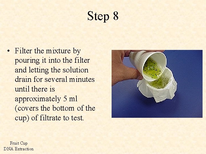 Step 8 • Filter the mixture by pouring it into the filter and letting
