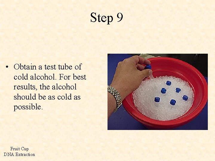 Step 9 • Obtain a test tube of cold alcohol. For best results, the