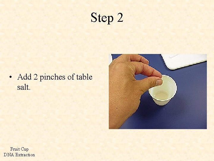 Step 2 • Add 2 pinches of table salt. Fruit Cup DNA Extraction 