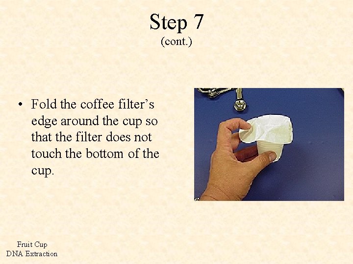 Step 7 (cont. ) • Fold the coffee filter’s edge around the cup so