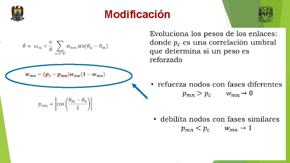 Modificación • Refuerza enlaces que unen nodos con fases iguales. • Debilita los enlaces
