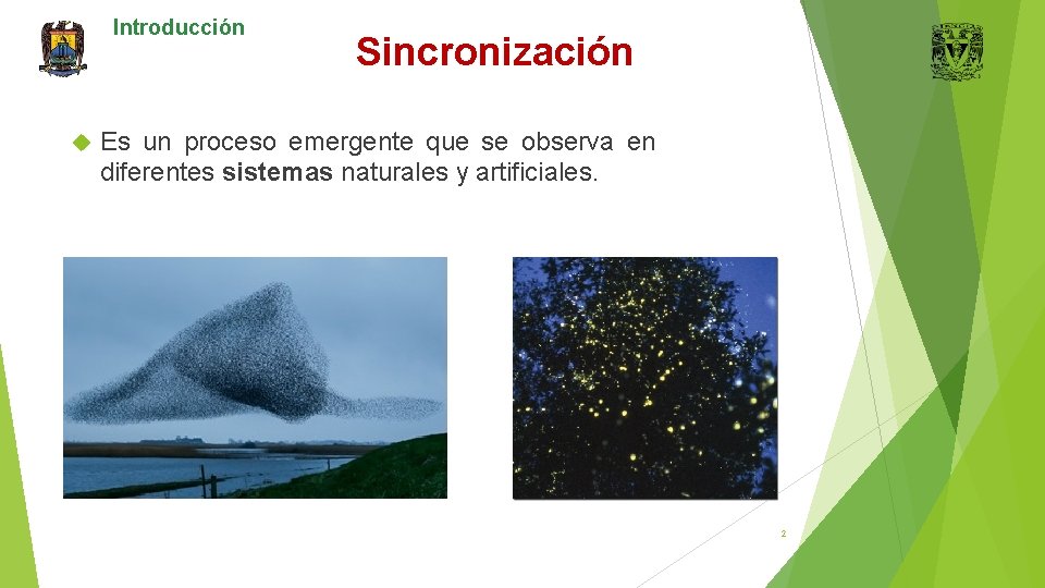 Introducción Sincronización Es un proceso emergente que se observa en diferentes sistemas naturales y