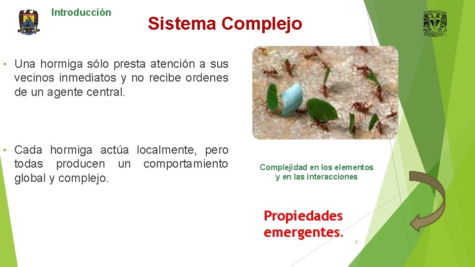 Introducción Sistema Complejo • Una hormiga sólo presta atención a sus vecinos inmediatos y