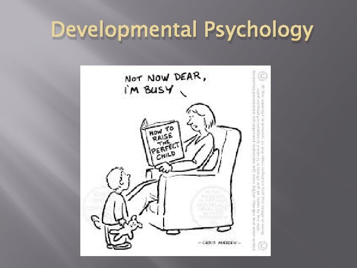 Developmental Psychology 