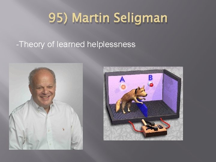 95) Martin Seligman -Theory of learned helplessness 