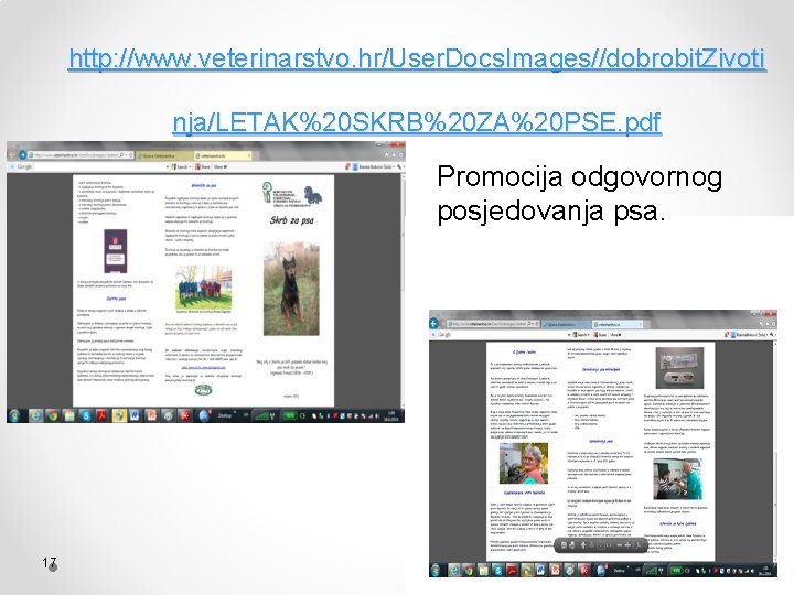 http: //www. veterinarstvo. hr/User. Docs. Images//dobrobit. Zivoti nja/LETAK%20 SKRB%20 ZA%20 PSE. pdf Promocija odgovornog