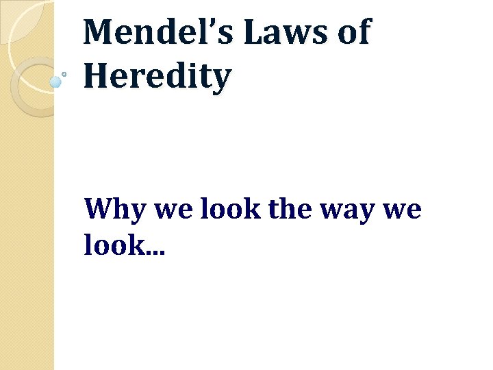 Mendel’s Laws of Heredity Why we look the way we look. . . 