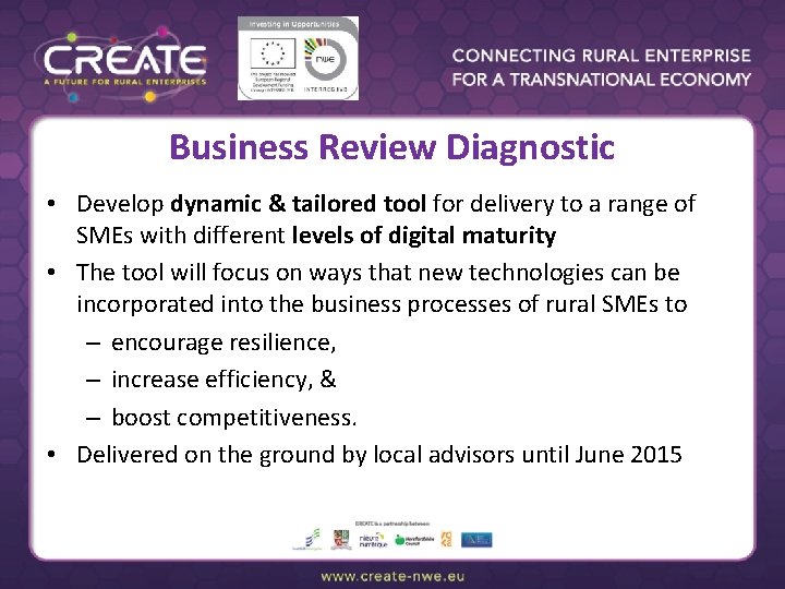 Business Review Diagnostic • Develop dynamic & tailored tool for delivery to a range