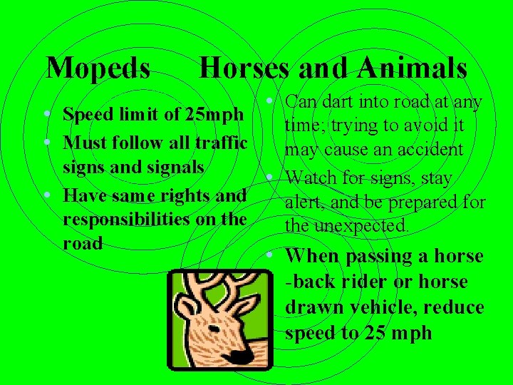 Mopeds Horses and Animals • Speed limit of 25 mph • Must follow all