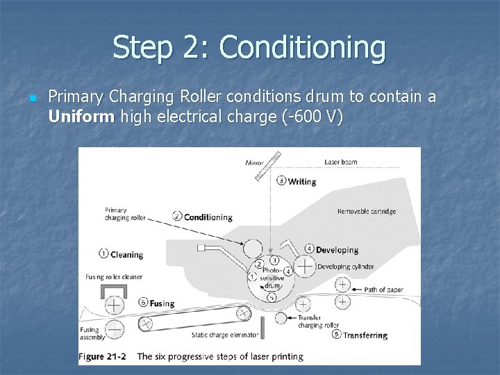 Step 2: Conditioning n Primary Charging Roller conditions drum to contain a Uniform high