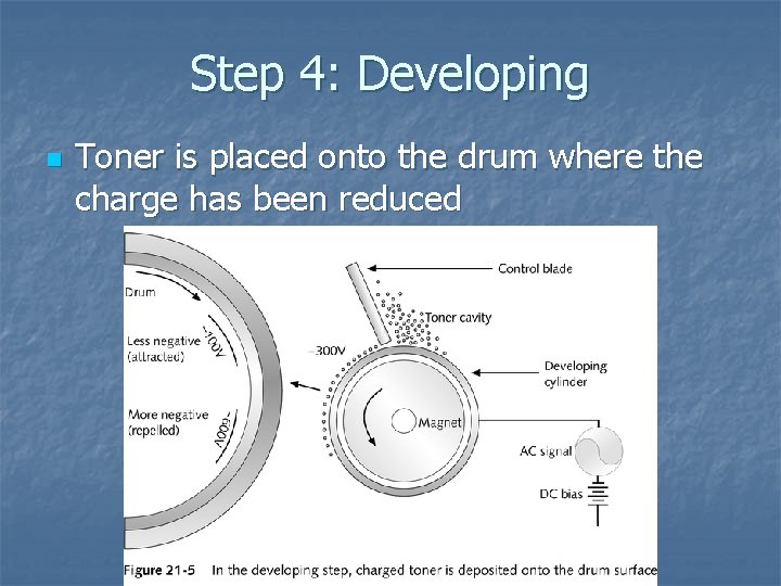Step 4: Developing n Toner is placed onto the drum where the charge has