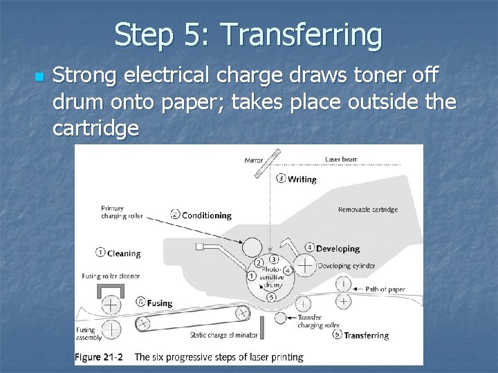 Step 5: Transferring n Strong electrical charge draws toner off drum onto paper; takes