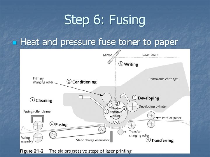 Step 6: Fusing n Heat and pressure fuse toner to paper 