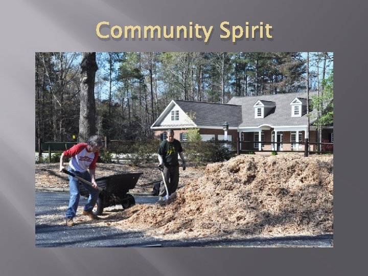 Community Spirit 
