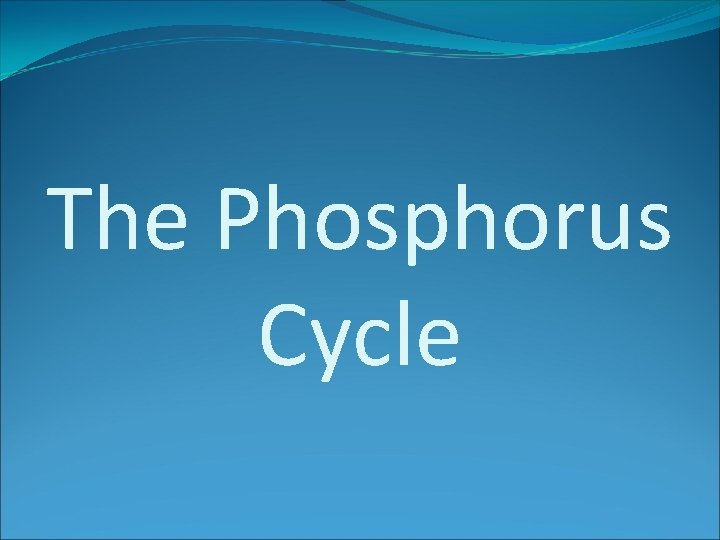 The Phosphorus Cycle 