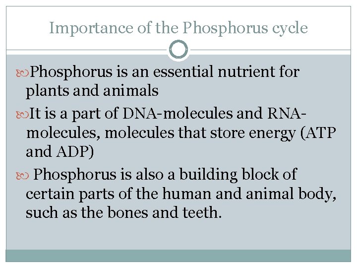 Importance of the Phosphorus cycle Phosphorus is an essential nutrient for plants and animals