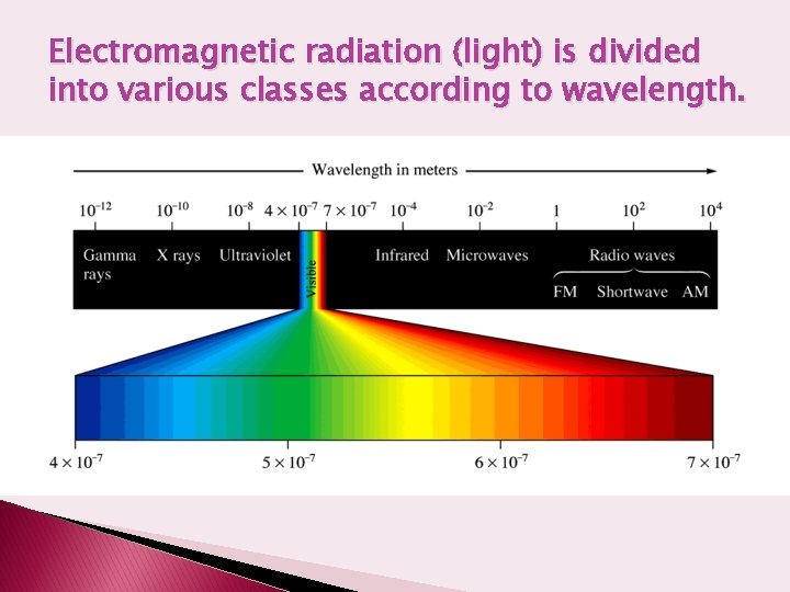 Electromagnetic radiation (light) is divided into various classes according to wavelength. 