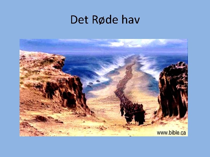 Det Røde hav 