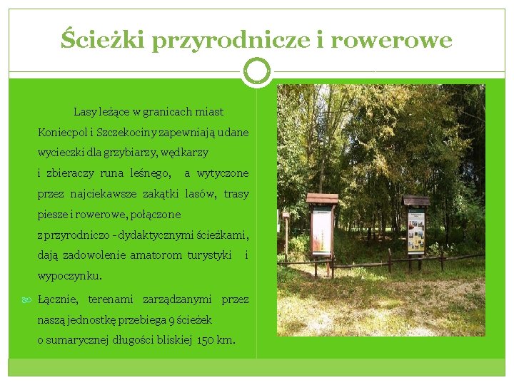 Ścieżki przyrodnicze i rowe Lasy leżące w granicach miast Koniecpol i Szczekociny zapewniają udane