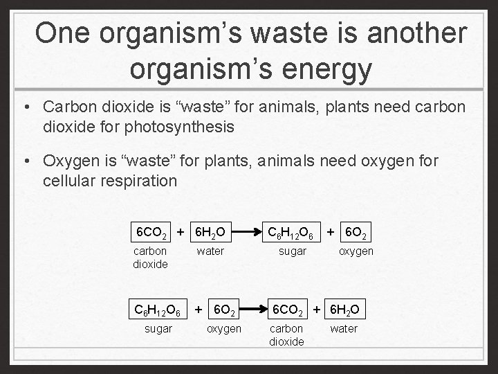One organism’s waste is another organism’s energy • Carbon dioxide is “waste” for animals,