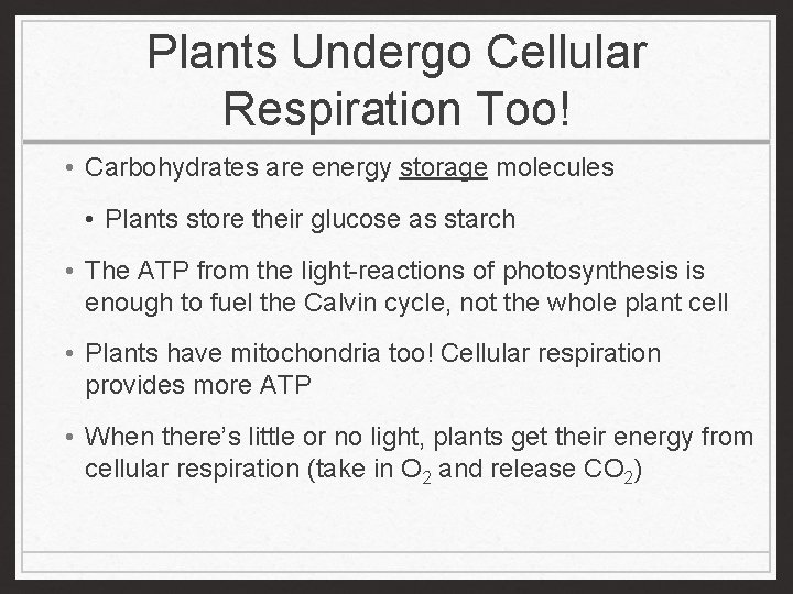 Plants Undergo Cellular Respiration Too! • Carbohydrates are energy storage molecules • Plants store