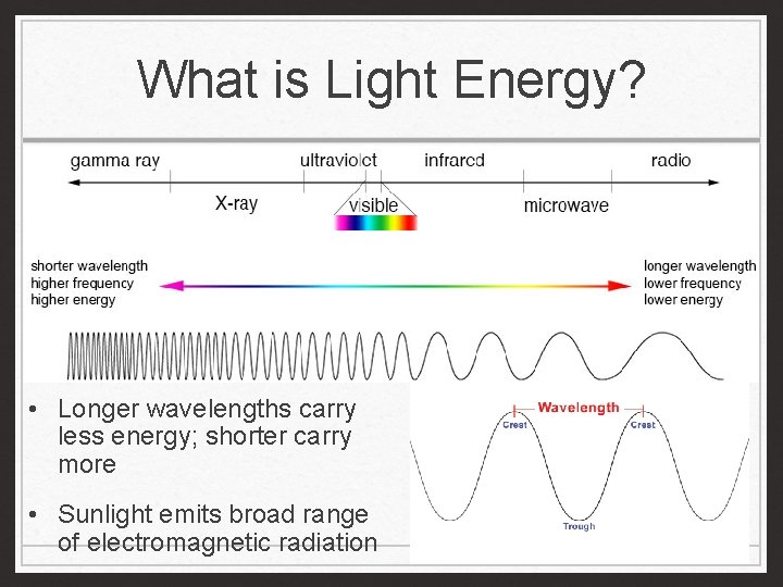 What is Light Energy? • Longer wavelengths carry less energy; shorter carry more •