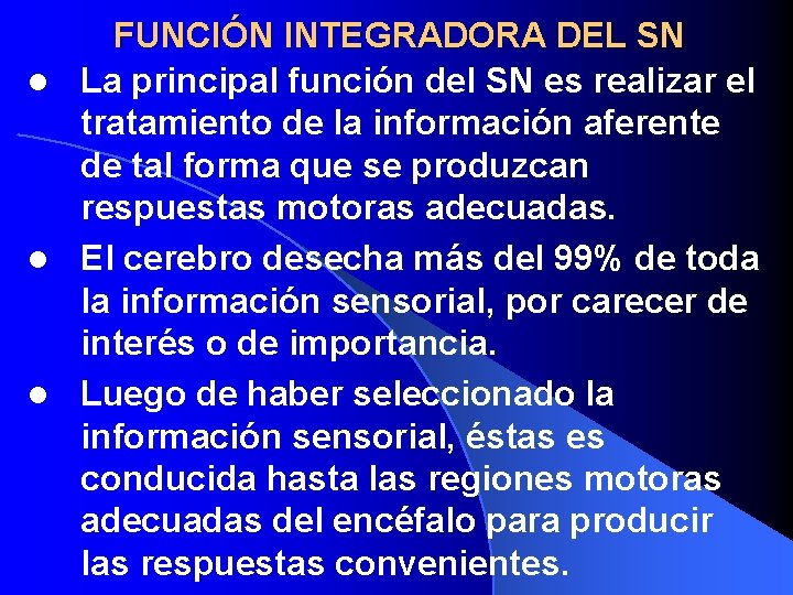 FUNCIÓN INTEGRADORA DEL SN l La principal función del SN es realizar el tratamiento