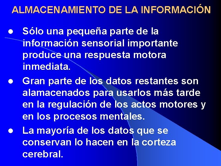 ALMACENAMIENTO DE LA INFORMACIÓN Sólo una pequeña parte de la información sensorial importante produce