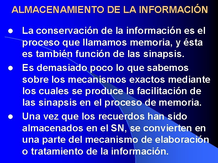 ALMACENAMIENTO DE LA INFORMACIÓN La conservación de la información es el proceso que llamamos