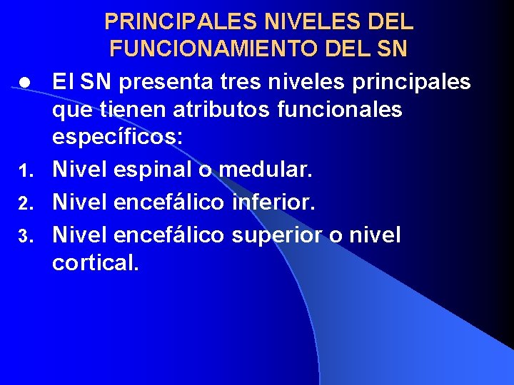 l 1. 2. 3. PRINCIPALES NIVELES DEL FUNCIONAMIENTO DEL SN El SN presenta tres