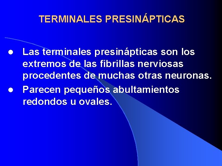 TERMINALES PRESINÁPTICAS Las terminales presinápticas son los extremos de las fibrillas nerviosas procedentes de