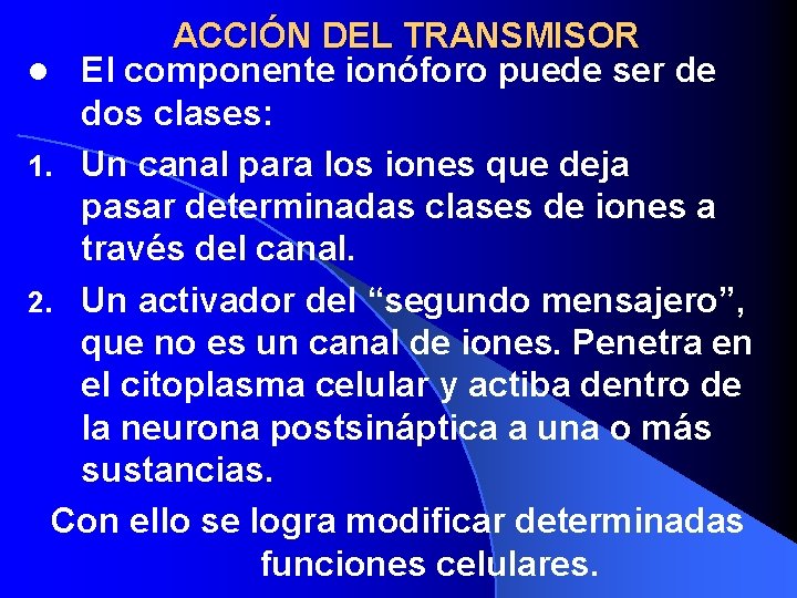 ACCIÓN DEL TRANSMISOR l El componente ionóforo puede ser de dos clases: 1. Un