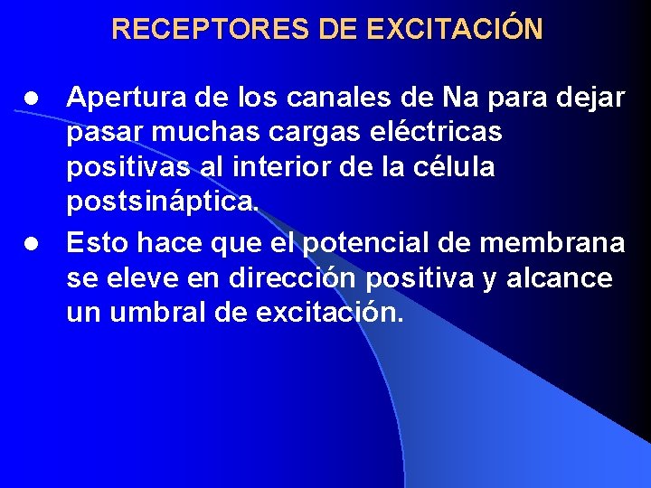 RECEPTORES DE EXCITACIÓN Apertura de los canales de Na para dejar pasar muchas cargas