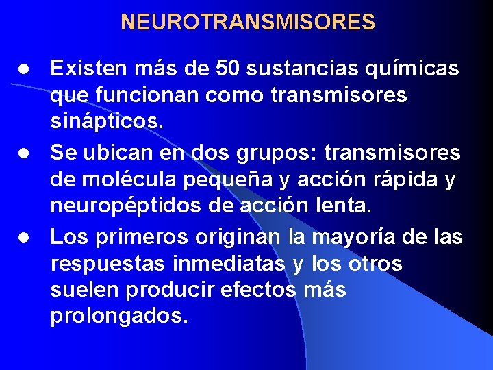 NEUROTRANSMISORES Existen más de 50 sustancias químicas que funcionan como transmisores sinápticos. l Se