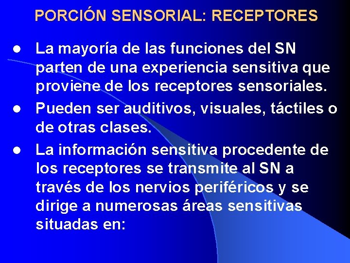 PORCIÓN SENSORIAL: RECEPTORES La mayoría de las funciones del SN parten de una experiencia